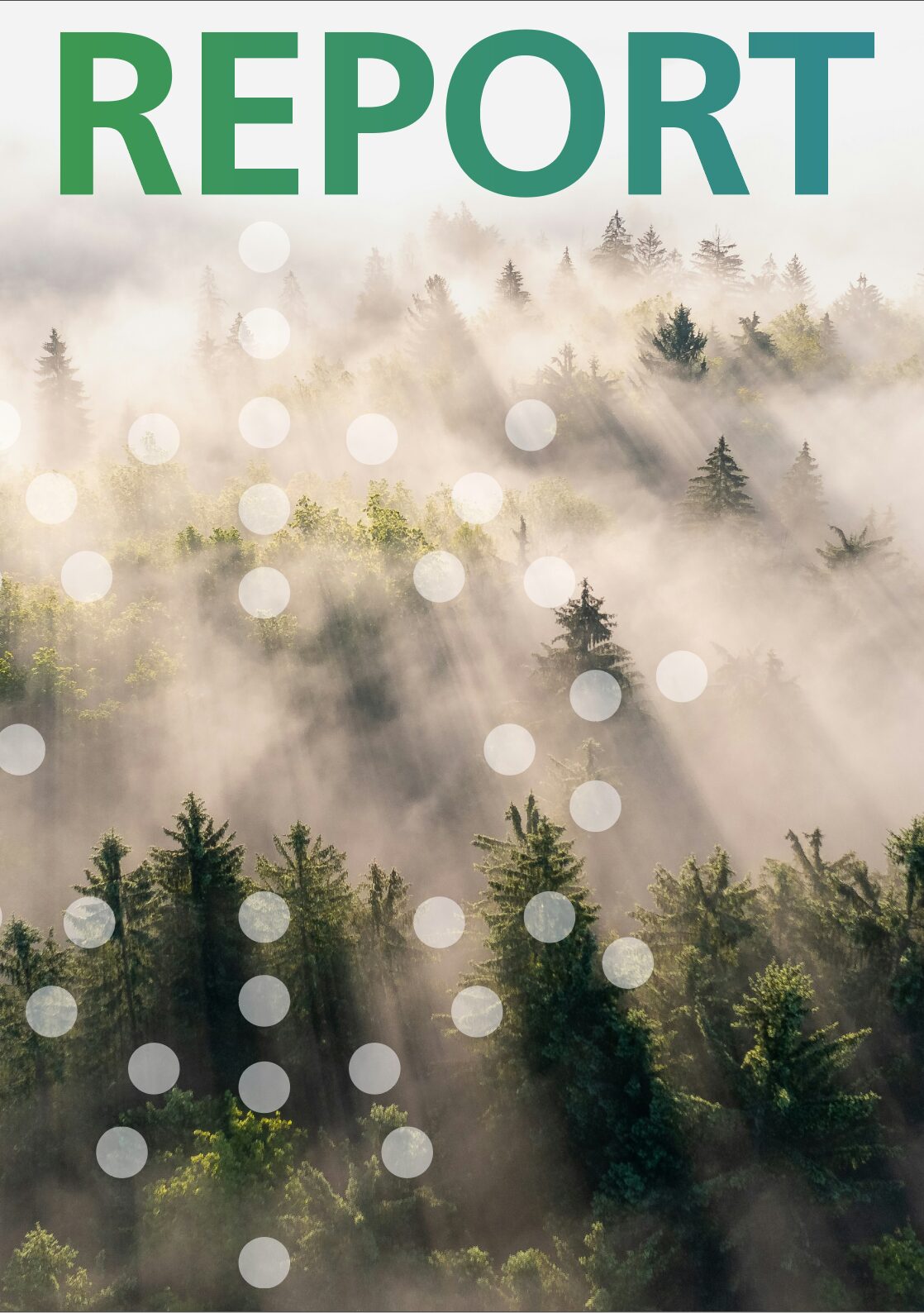 Yttrium ESG Report